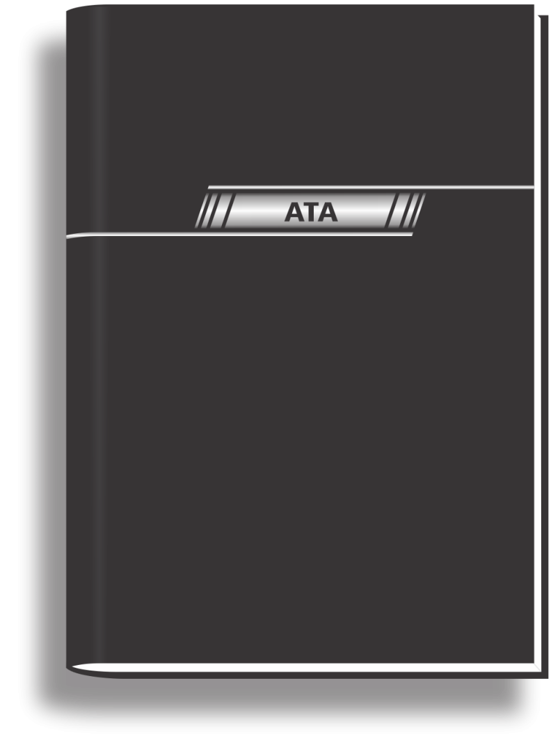 LIVRO ATA 100 FLS -  202X297