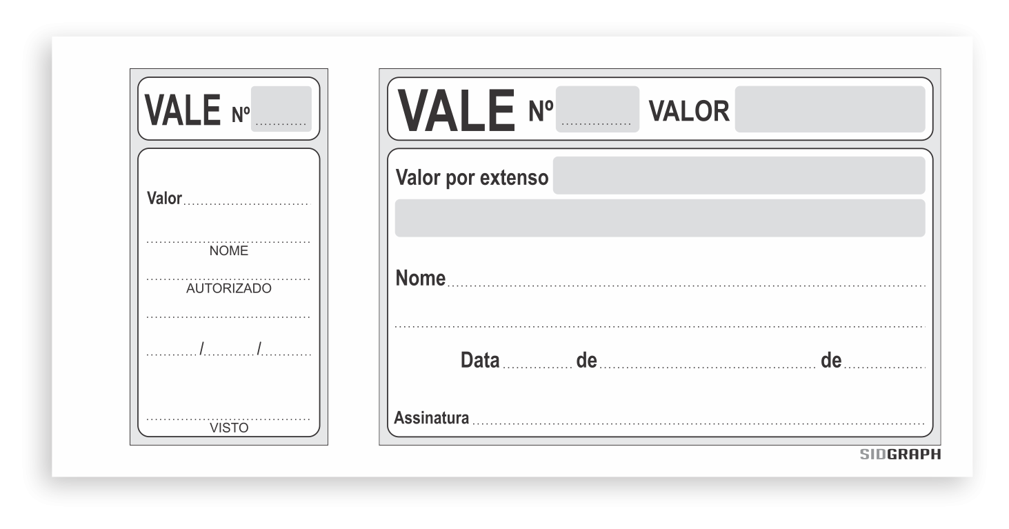 VALE COM CANHOTO 100 FLS